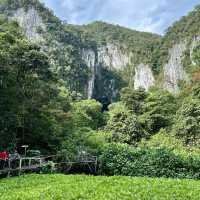 Into the Heart of Borneo: Conquering the RM100 Challenge