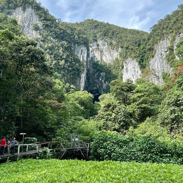 Into the Heart of Borneo: Conquering the RM100 Challenge