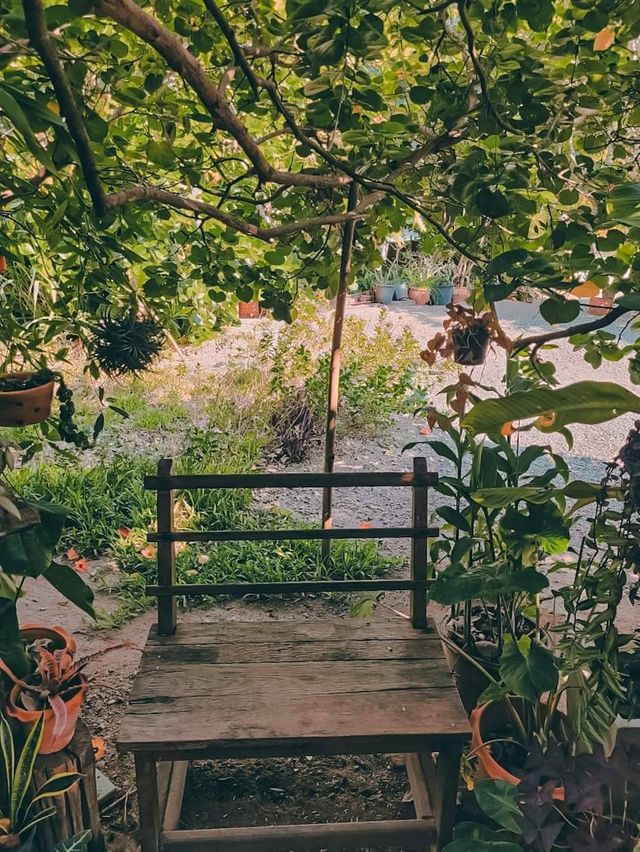 คาเฟ่ธรรมชาติ นั่งสบาย@ราชบุรี