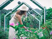เที่ยวทองผาภูมิ ดูสายหมอกในฤดูฝน