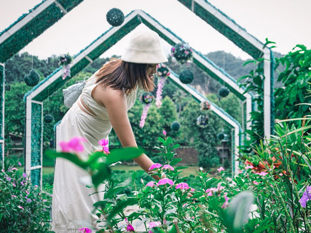 เที่ยวทองผาภูมิ ดูสายหมอกในฤดูฝน