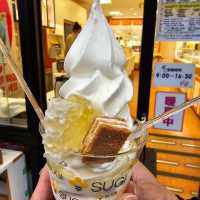 【東京】5天4夜富士山和輕井澤行程規劃
