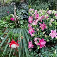 Singapore Flower Dome
