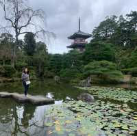 魅力的な庭園のある神社