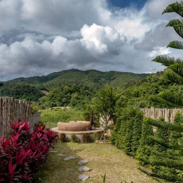 X3 Tara Resort