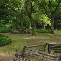 「娜麗公園：綠意盎然、錦鯉池美麗景緻，享受天然氧吧」
