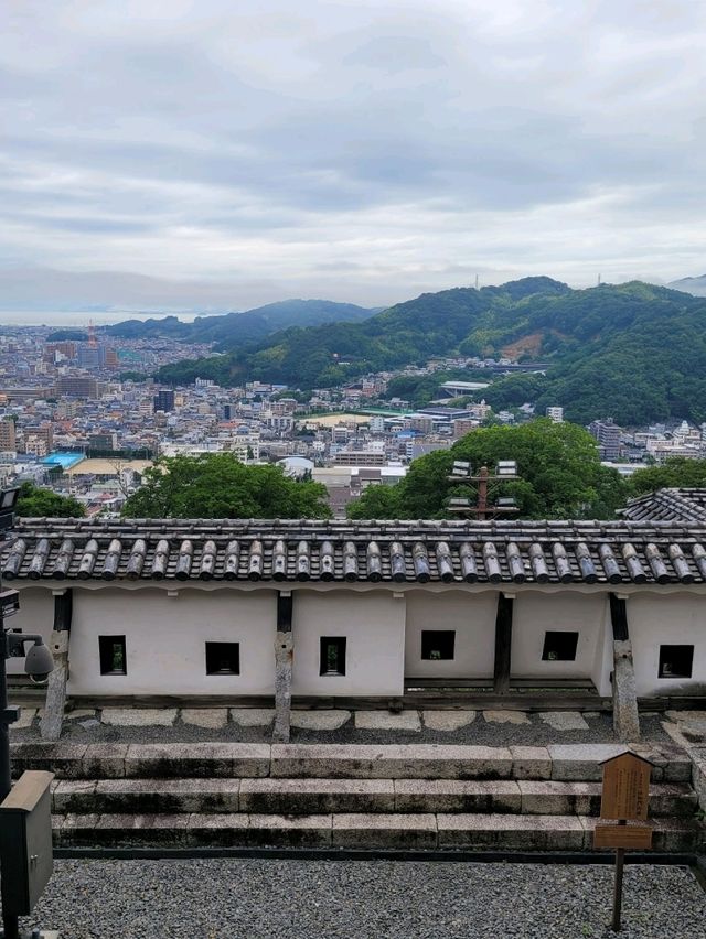 🏯마쓰야마 시내가 한눈에 보이는 마쓰야마 성🏯