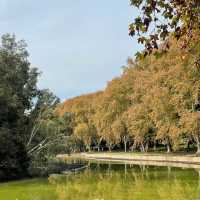 格林威治公園🔆綠意世外桃源