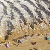 เข็นวีลแชร์ขึ้นภูเขาไฟ Kawah ijen