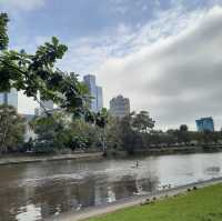 A Hidden Gem in Alexandra Gardens