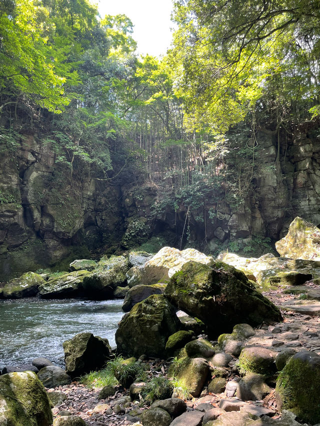 大分〜竹田市〜大自然を感じられる場所