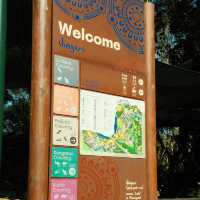 Catch all the animal fun at Currumbin Wildlife Sanctuary!