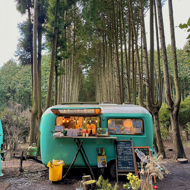 제주안의 작은 유럽 구좌읍 비밀의숲🌳🤫