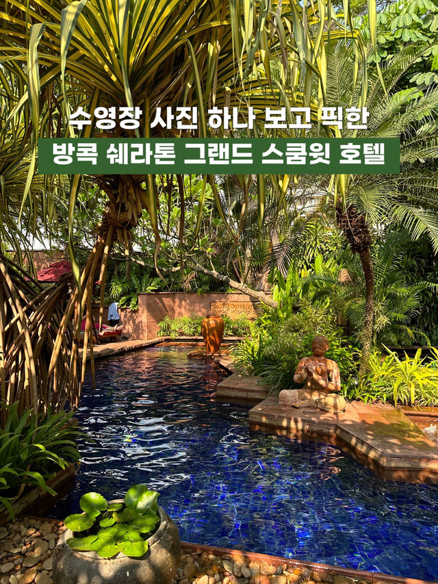 수영장이 이렇게 아름다울 수 있나🥹 방콕 쉐라톤 그랜드 스쿰윗 호텔