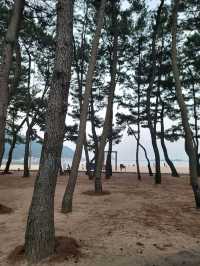 여름이 지나도 여전히 남해핫플 상주해수욕장🏖