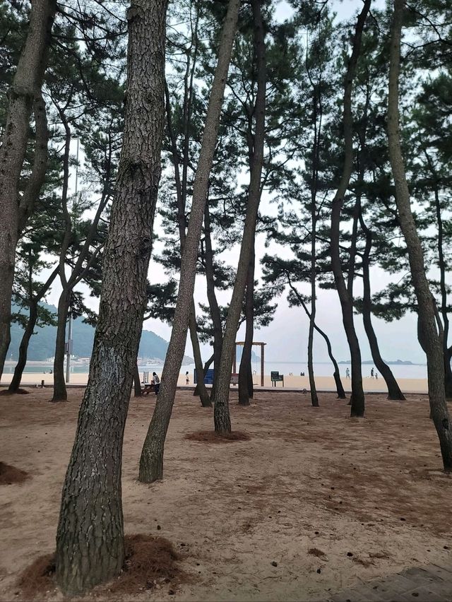 여름이 지나도 여전히 남해핫플 상주해수욕장🏖