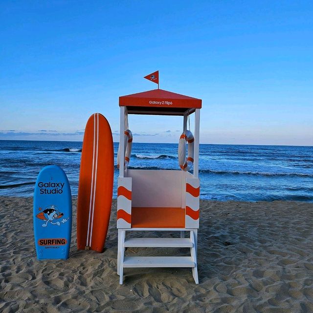 강원도 양양 가볼 만한 곳  서피비치⛱️