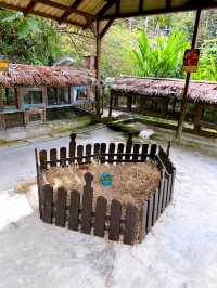 A Fun Day of Animal Encounters at Bentong Farm