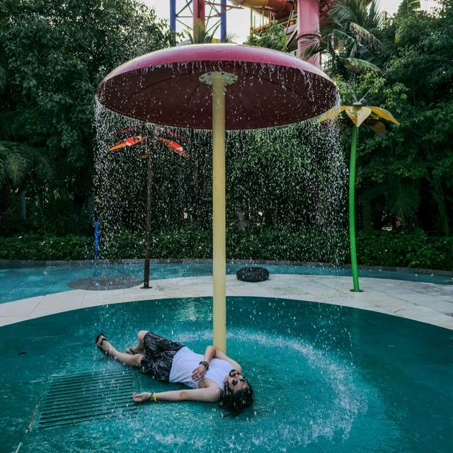 나트랑의 워터파크 Aquapark VinWonders