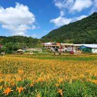 夏末限定，金色山脈充滿