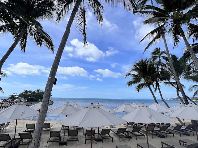 🏖️ เอาท์ทริกเกอร์ เกาะสมุย บีช รีสอร์ท