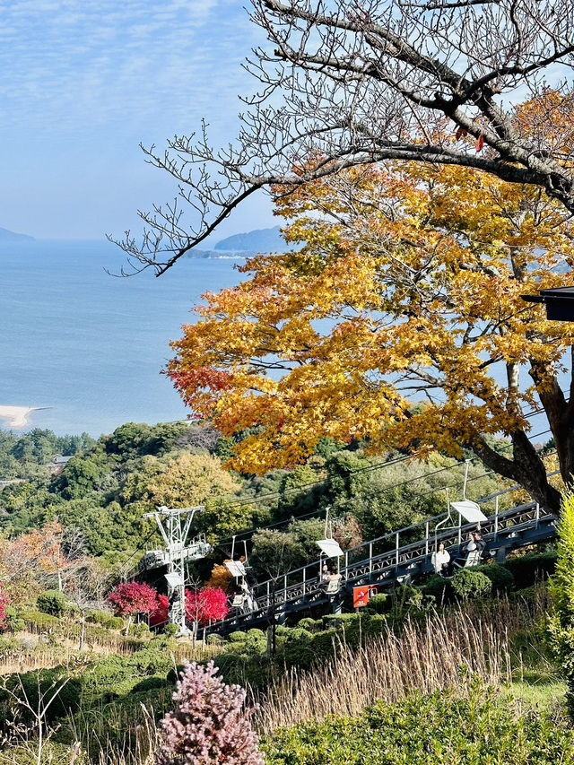 🇯🇵 京都近郊 日本三景之一的天橋立