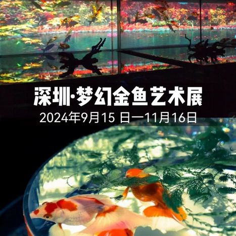 深圳新展預告·夢幻金魚藝術展🐠深圳特展