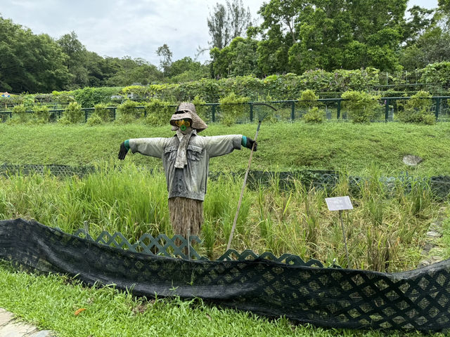 獅子會自然教育中心～戶外農場😌