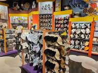 ร้านขายของฝาก Snoopy Studios (USJ2024)