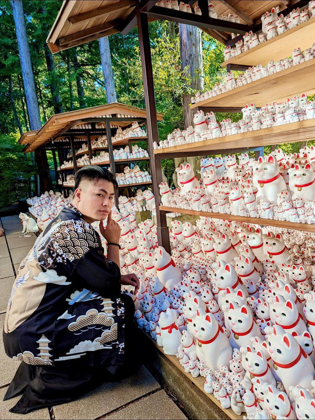 Purr-fect Sanctuary: Discover Japan's Enchanting Cat Temple🐱🕍