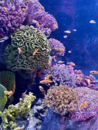 ชวนเที่ยว Sea Life Bangkok