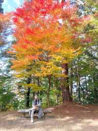 Autumn in Takayama 🍁🍂