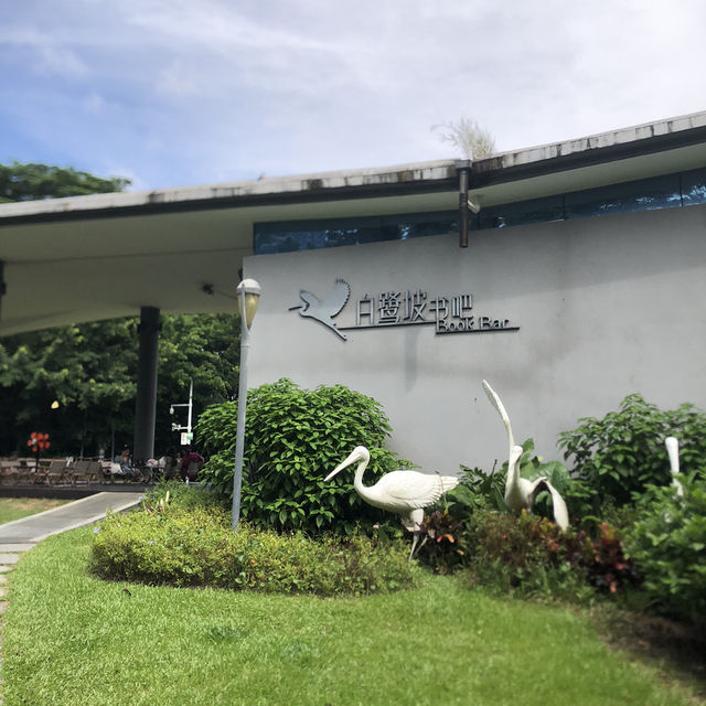 ☕️深圳週末一日遊：深圳灣海岸公園與白鷺坡書吧