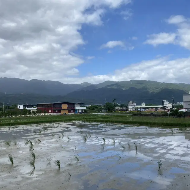 Taiwan-Streets of Yilan, Mr Brown Cafe