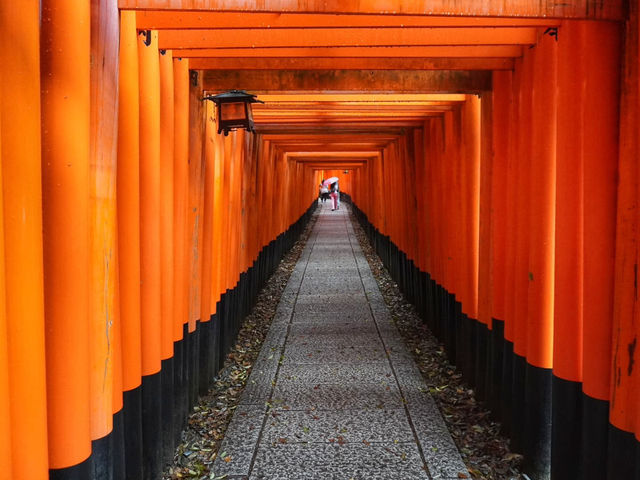 Fushimi Inari Taisha Kyoto