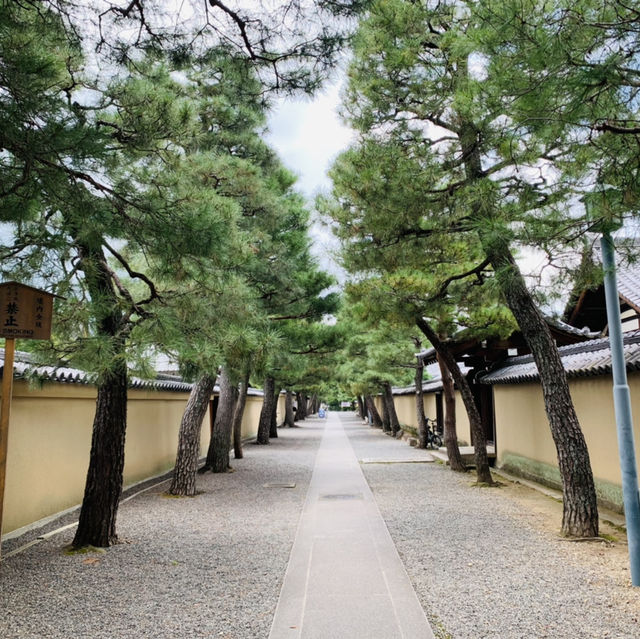 京都　大徳寺