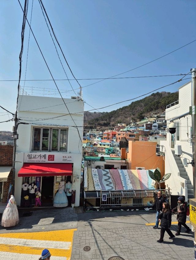 Colourful Gamcheon Cultural Village 🇰🇷