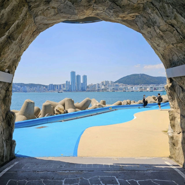 【韓国/釜山】白瀬文化村（ヒンヨウル文化村）🐠