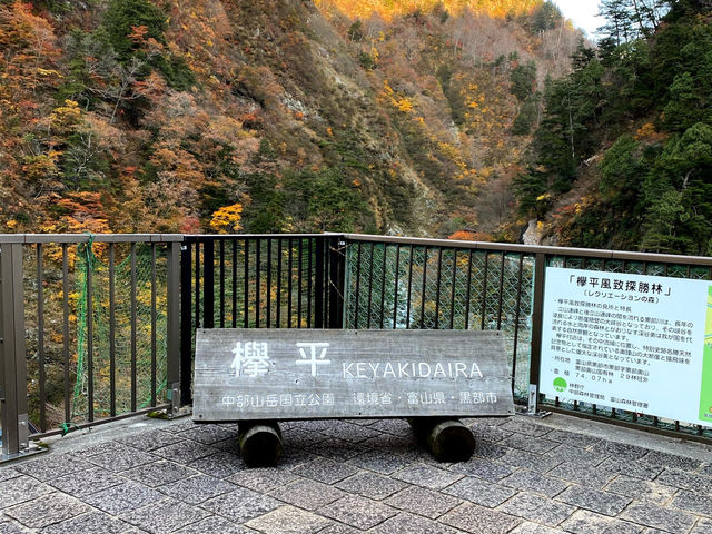 黒部峡谷トロッコ列車 黒部峡谷トロッコ列車