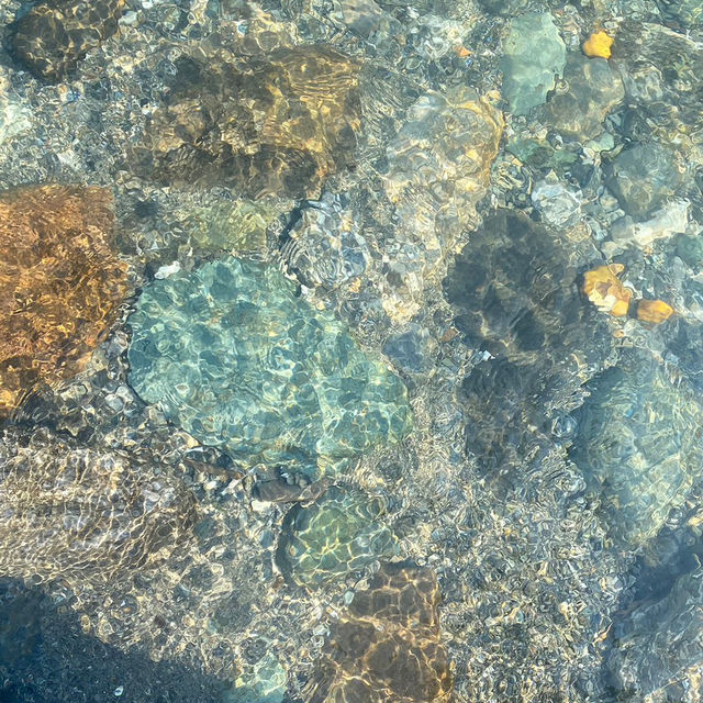 美味しい海鮮と大自然の高知！