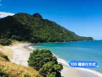 📍紐西蘭北島。Bay of islands | Whangarei head登山步道觀景