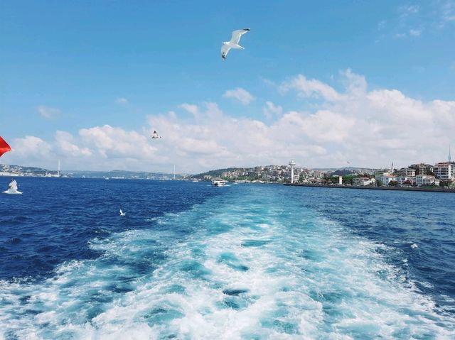 【伊斯坦布爾必玩項目】坐船漫遊博斯普魯斯海峽，Trip.com上預定行程享高性價比