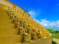 ขอพรพระพุทธปฐมบรมมหาอนันตบารมีศรีวิริยะ