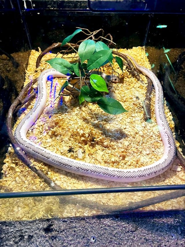 The Shore Oceanarium in Melaka