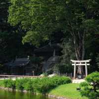 桑名城九華公園：日本城堡的浪漫🏯🌸
