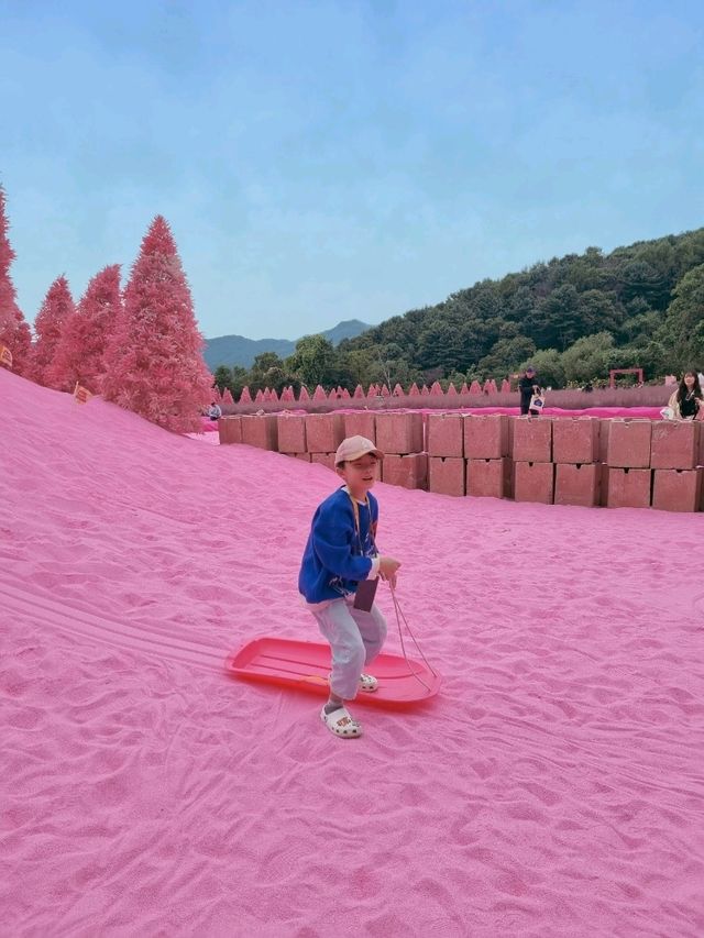 허브아일랜드, 핑크빛 낭만 속 핑크뮬리와 핑크샌드의 만남