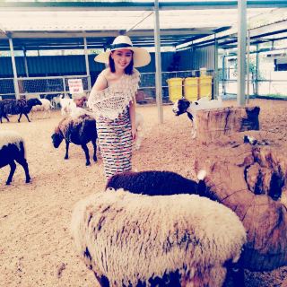 Caversham Wildlife Park in Perth is a must-visit for animal lovers 