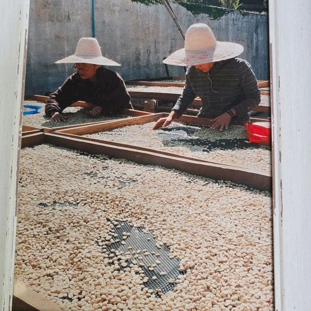 ร้านกาแฟ YAYO FARM ดอยช้าง