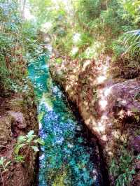 【メキシコ】自然と文化の宝庫✨ メキシコを全身で感じる冒険へ！