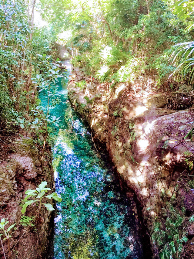 【メキシコ】自然と文化の宝庫✨ メキシコを全身で感じる冒険へ！